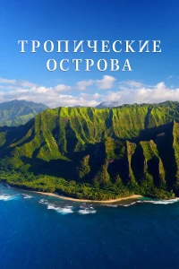 Постер фильма: Тропические острова