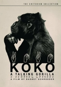 Постер фильма: Коко, говорящая горилла