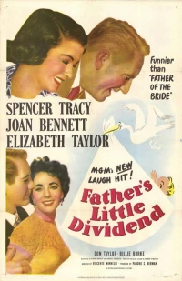 Постер фильма: Маленькая прибыль отца
