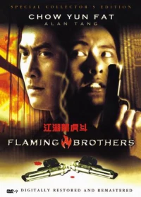 Постер фильма: Огненные братья