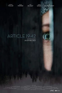 Постер фильма: Статья 19-42