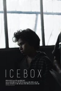 Постер фильма: Icebox