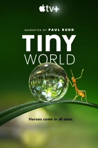 Постер фильма: Крошечный мир