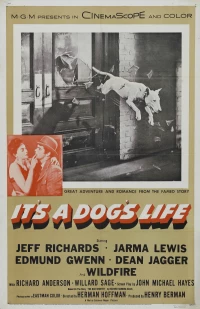 Постер фильма: It's a Dog's Life