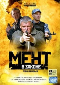 Постер фильма: Мент в законе