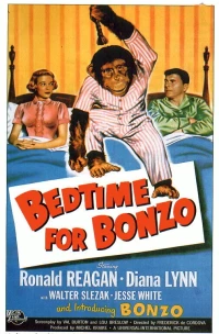 Постер фильма: Бонзо пора спать
