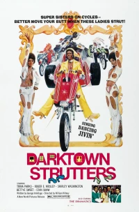 Постер фильма: Darktown Strutters