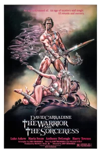 Постер фильма: Воин и колдунья