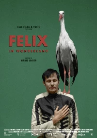 Постер фильма: Феликс в стране чудес