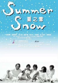 Постер фильма: Летний снег