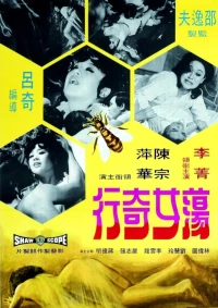 Постер фильма: Dang nu ji hang