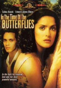 Постер фильма: Времена бабочек