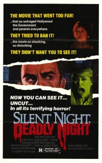 Постер фильма: Тихая ночь, смертельная ночь