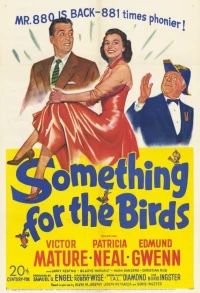 Постер фильма: Кое-что для птиц