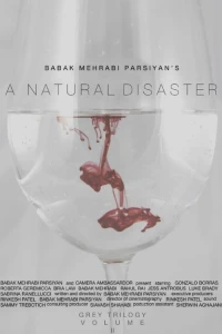Постер фильма: A Natural Disaster