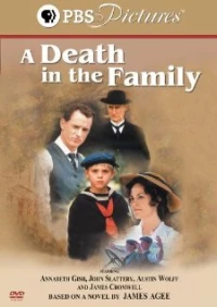 Постер фильма: Смерть в семье