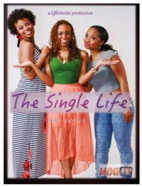 Постер фильма: The Single Life