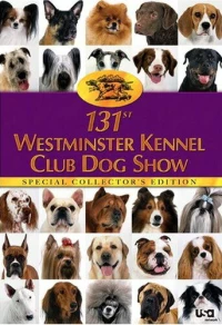 Постер фильма: The 131st Westminster Kennel Club Dog Show
