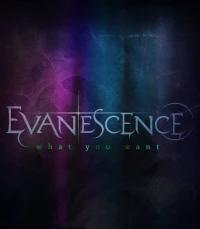 Постер фильма: Evanescence: What You Want