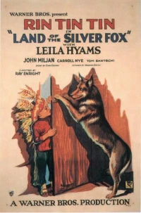 Постер фильма: Land of the Silver Fox