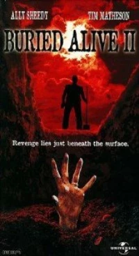 Постер фильма: Заживо погребенный 2