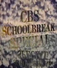 Постер фильма: CBS Особенные школьные каникулы