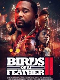 Постер фильма: Birds of a Feather 2