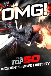 Постер фильма: WWE: OMG! - The Top 50 Incidents in WWE History