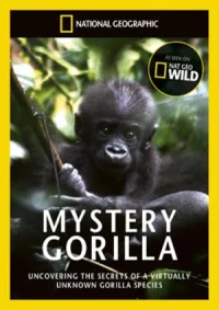 Постер фильма: Тайна горилл
