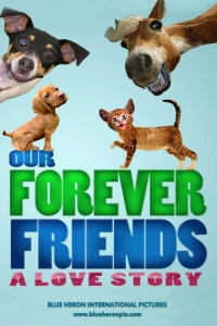 Постер фильма: Our Forever Friends