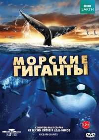 Постер фильма: BBC: Морские гиганты