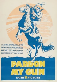 Постер фильма: Pardon My Gun