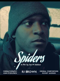 Постер фильма: Spiders
