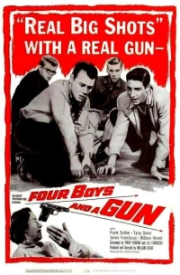 Постер фильма: Four Boys and a Gun