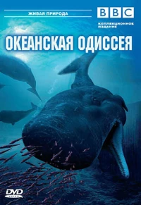 Постер фильма: BBC: Океанская одиссея