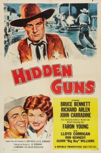 Постер фильма: Спрятанные револьверы