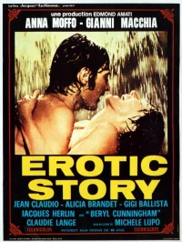 Постер фильма: Эротическая история
