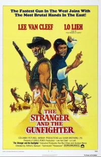 Постер фильма: Незнакомец и стрелок