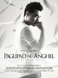 Постер фильма: Летающие ангелы