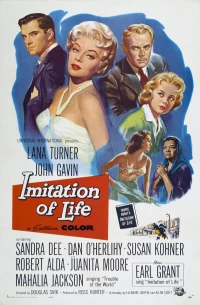 Постер фильма: Имитация жизни