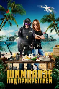 Постер фильма: Шимпанзе под прикрытием