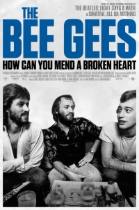 Постер фильма: История группы Bee Gees: Как собрать разбитое сердце