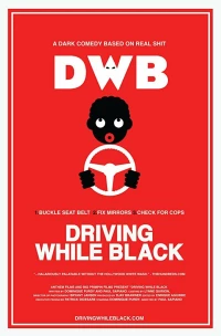 Постер фильма: Быть чёрным за рулём