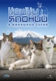 Японские сериалы про котов