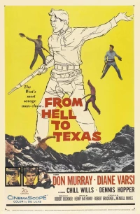 Постер фильма: Из ада в Техас