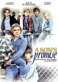 Постер фильма: Обещание сына