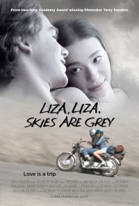 Постер фильма: Лиза, Лиза, небеса серого цвета