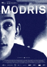 Постер фильма: Модрис