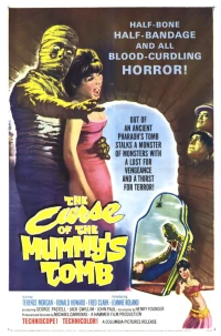 Постер фильма: Проклятие гробницы мумии