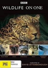 Постер фильма: Wildlife on One